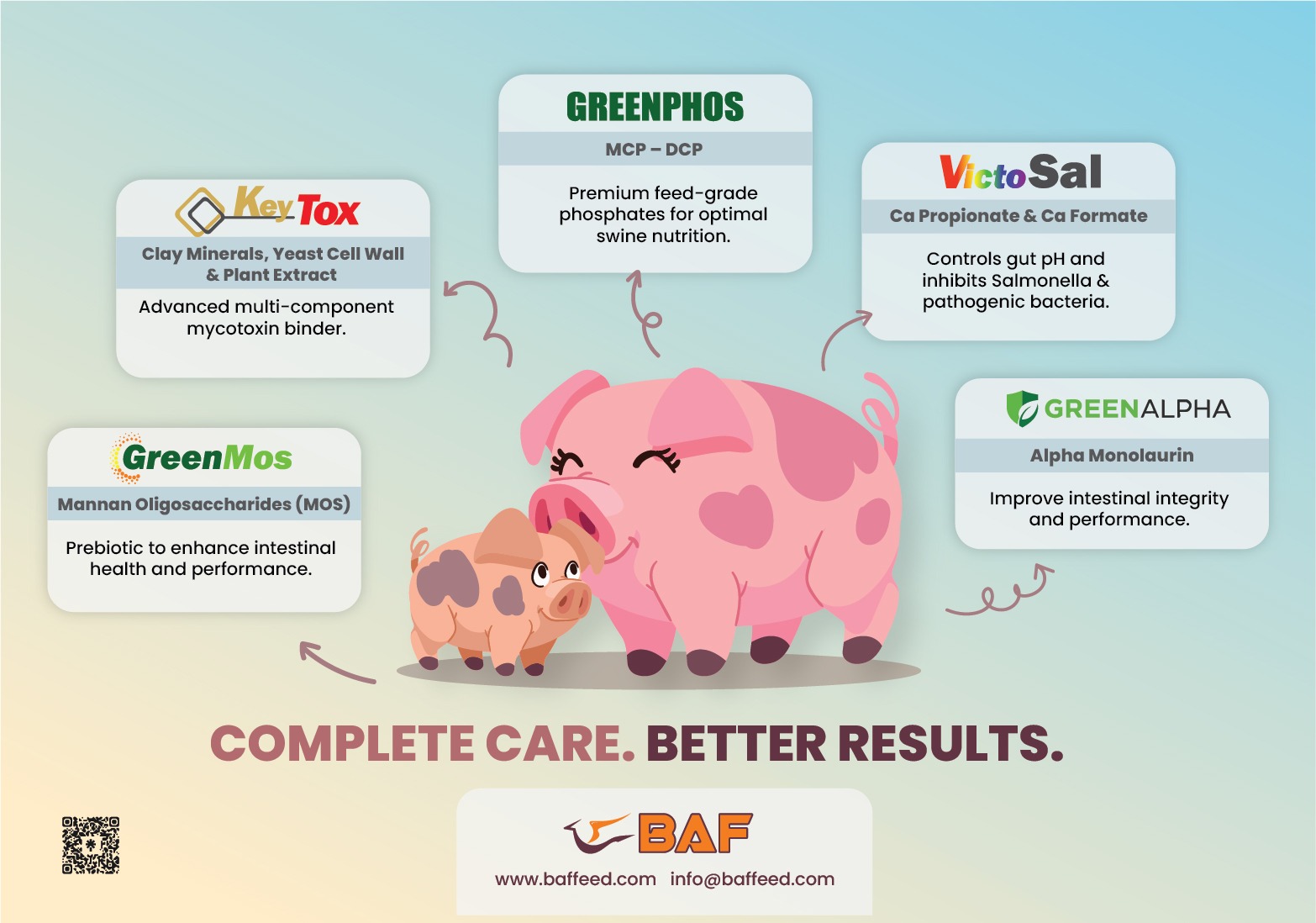 BAF FEED and Keytox Featured in International Pig Topics!